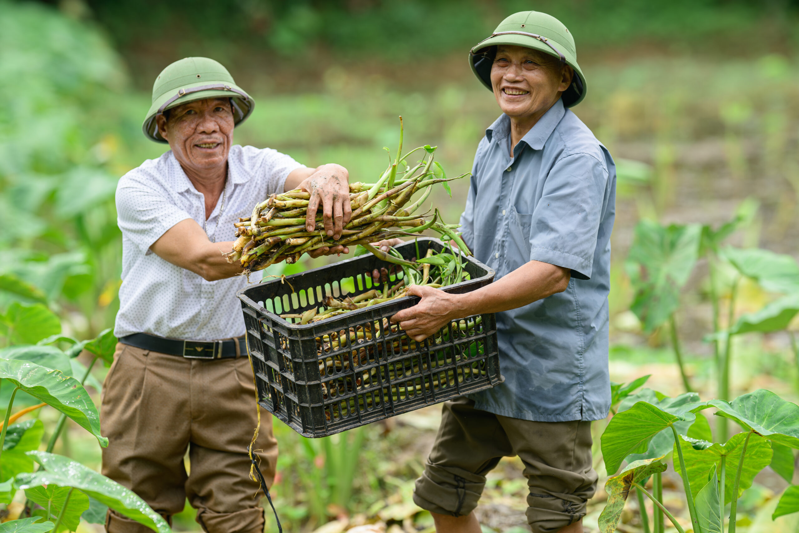 Người cao tuổi là động lực thúc đẩy hành động từ địa phương đến toàn cầu